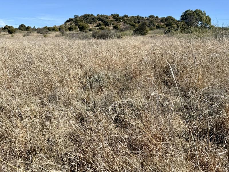 0 Bedroom Property for Sale in Lindley Free State